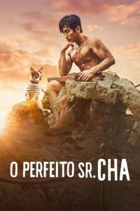 O Perfeito Sr. Cha