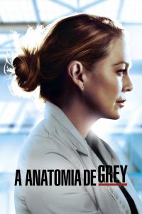 Assistir Grey S Anatomy Temporada 17 Online Pobreflix